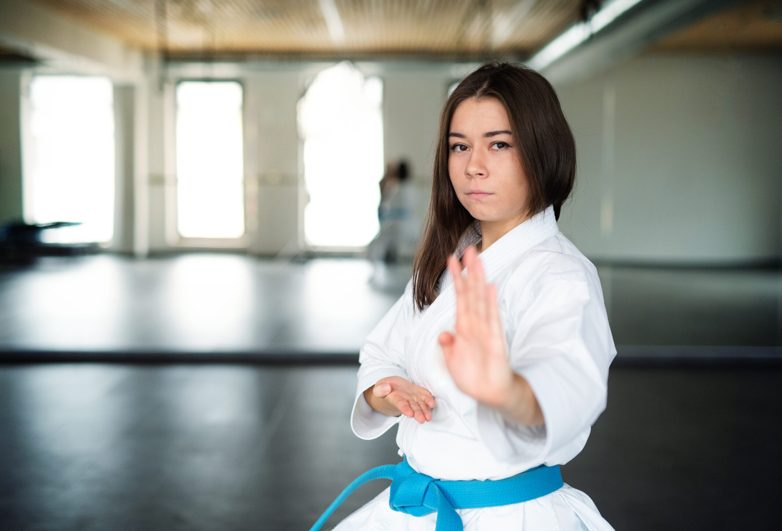 Gracie Jiu-Jitsu Overland Park Taekwondo Programs:
